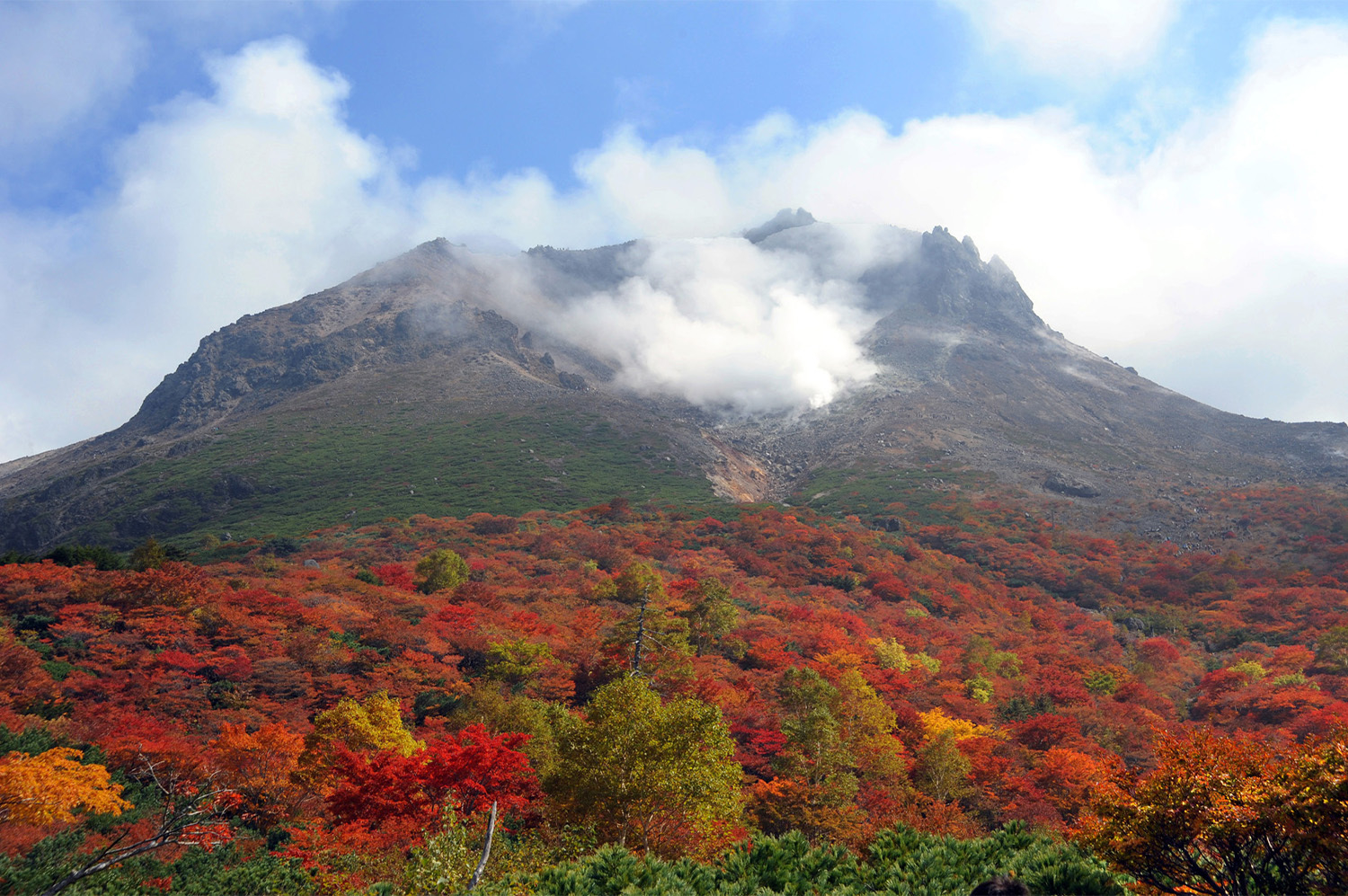 紅葉の茶臼岳